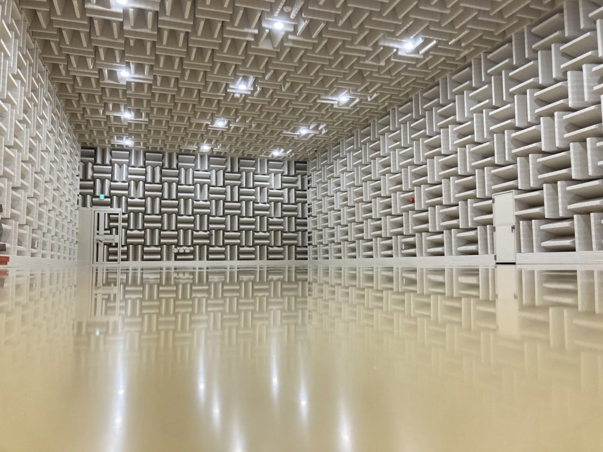 Complete view of hemi anechoic chamber